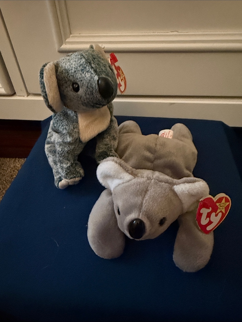 Ty beanie babies koala bears ( 2)